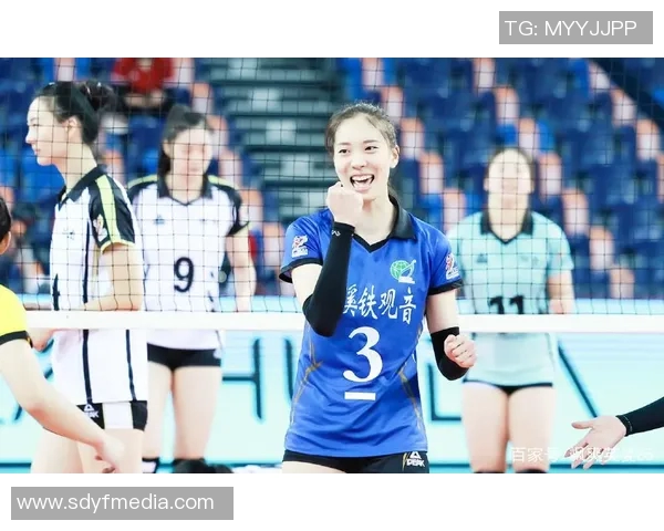 杭州排球队实力分析与赛季表现评估的深度解读