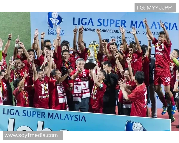 新加坡西部足球明星阵容全解析及其成就回顾