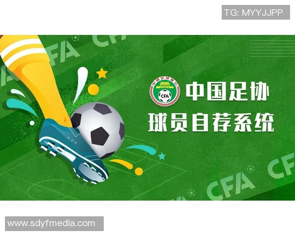 足球明星们对中国足球现状的犀利吐槽引发热议与反思