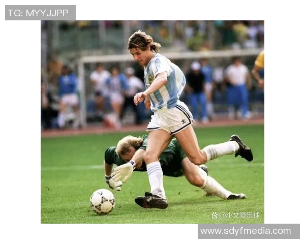 伊朗足球明星盘点：那些在绿茵场上闪耀的传奇人物与他们的辉煌成就