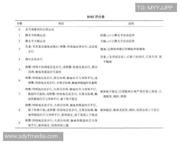 武汉足球队在全国锦标赛中的技术表现分析与点评 武汉足球队在全国锦标赛中的技术表现分析与点评