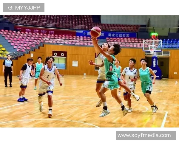 重庆篮球队的灵活性探讨与发展潜力分析 重庆篮球队的灵活性探讨与发展潜力分析