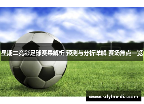 星期二竞彩足球赛果解析 预测与分析详解 赛场焦点一览